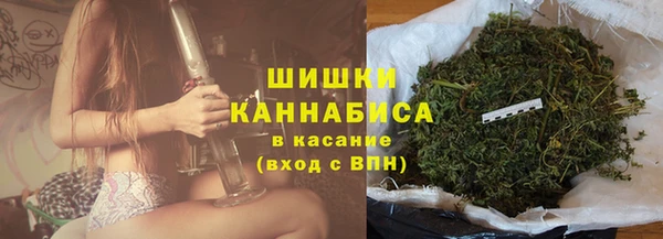 PSILOCYBIN Кинешма
