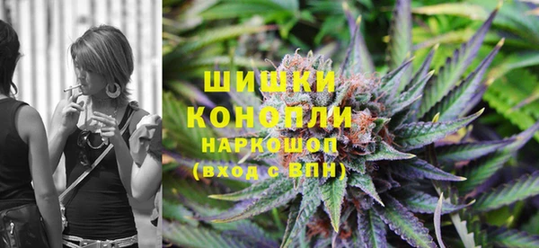 PSILOCYBIN Кинешма