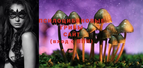 PSILOCYBIN Кинешма